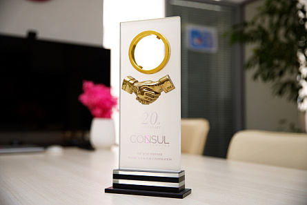CONSUL TRAVEL